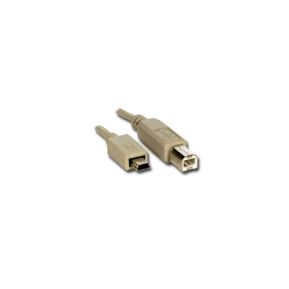 EXTENSAO INFORMÁTICA USB MACHO / MINI USB 5P