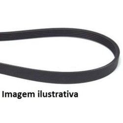 CORREIAS ESTRIADAS   1173J5