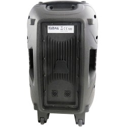 COLUNA PASSIVA 15" 450W MAX.