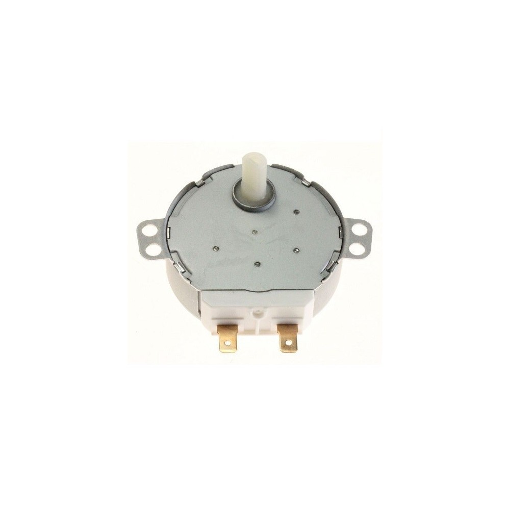 MOTOR GIRAPRATOS MICROONDAS 1FACE 21VAC