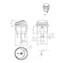 INTERRUPTOR SPST ON-OFF 6A 125V 250VAC IP65