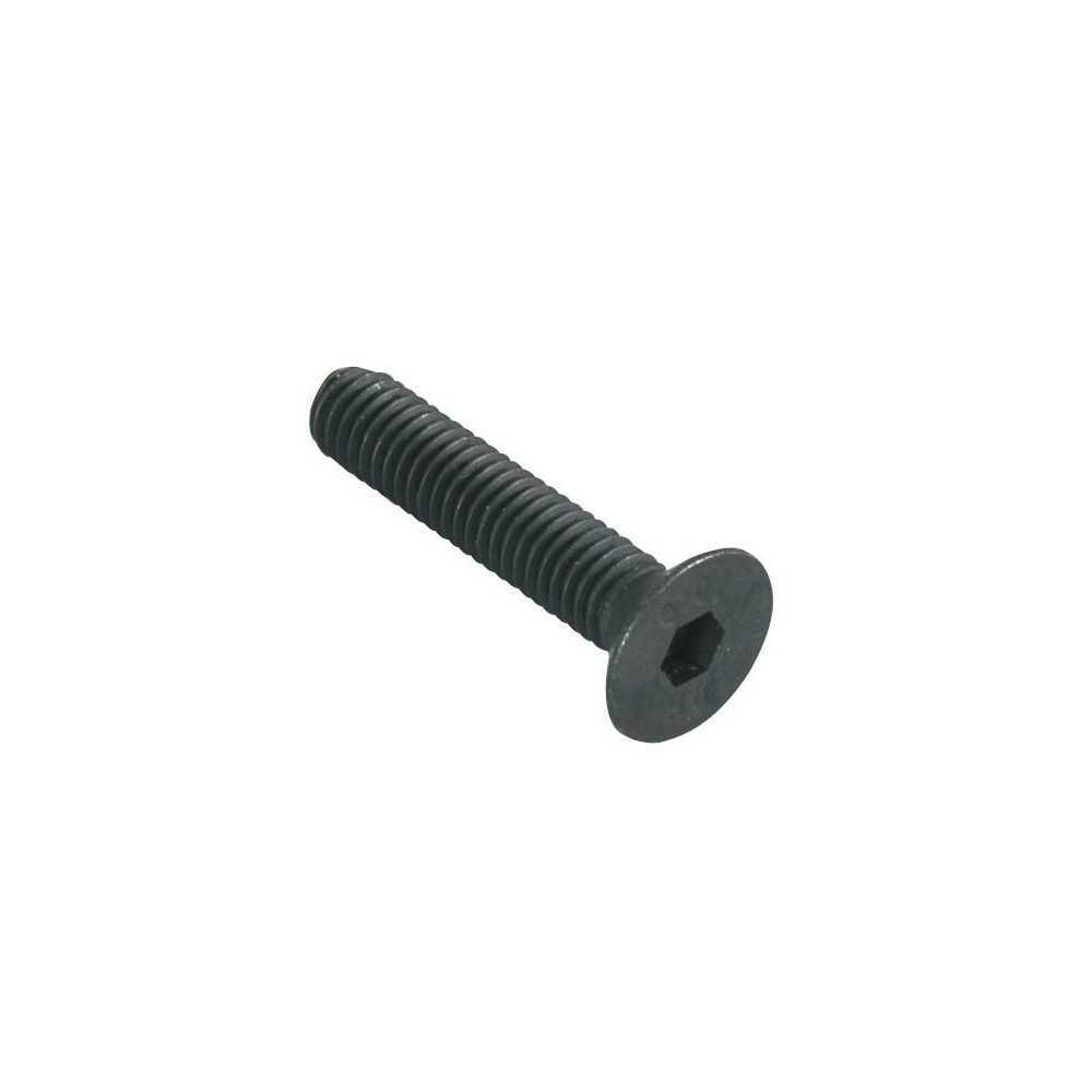 PARAFUSO M6 CABEÇA ALLEN  30X10mm