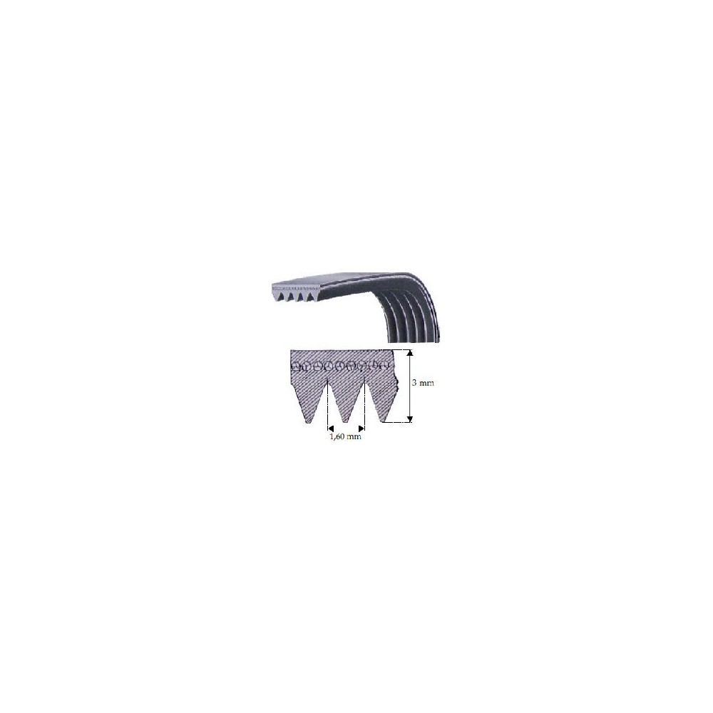 CORREIAS ESTRIADAS 1051 H8 ARISTON CORREIAS ESTRIADAS 1051 H8 ARISTON