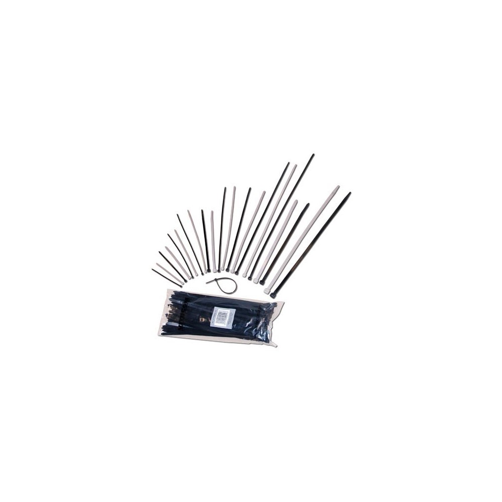 PACK 100 ABRACADEIRAS NYLON 3.6X250mm