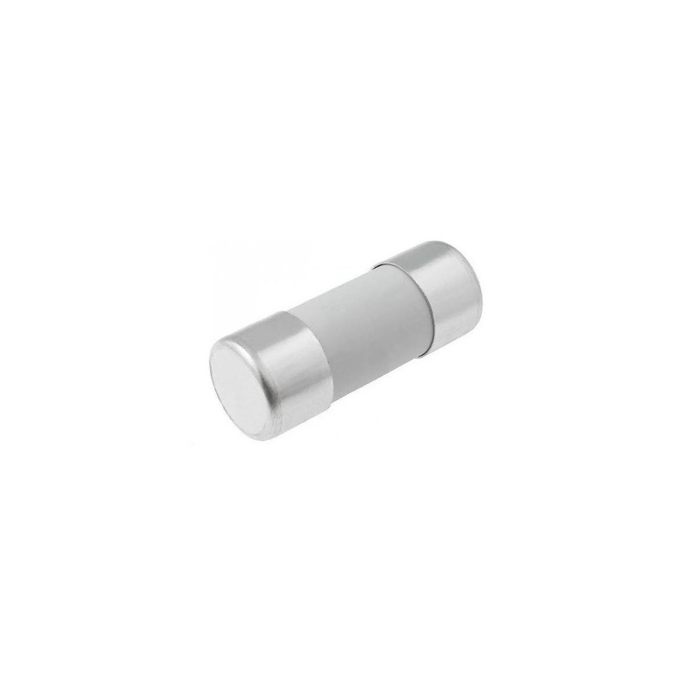 FUSIVEL CERAMICO GC 22X58 25A 690V