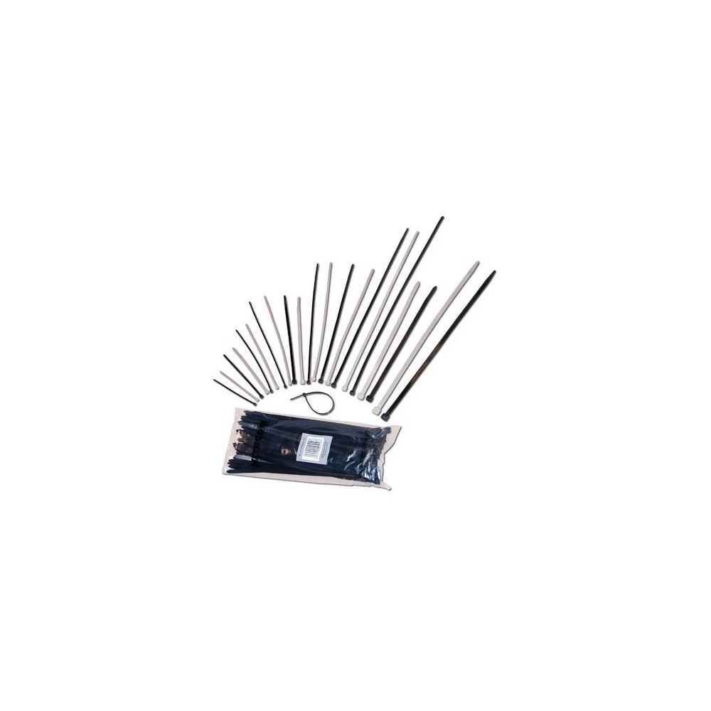 PACK 100 ABRACADEIRAS NYLON TRANSPARENTE 100X2,5mm