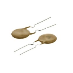 PTC 1.6A 10.2MM