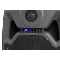COLUNA AMPLIFICADA 8" USB BT SD AUX FM MANTA