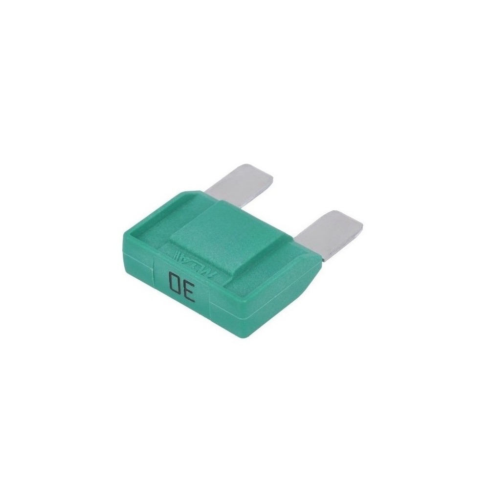 FUSIVEL AUTO TIPO GARFO 30A VERDE