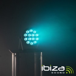 PROJETOR PAR C/14 LED 6W RGBW DMX IBIZA