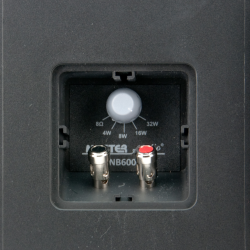 PAR COLUNAS 6"+1" IP65 8OHM / 100V PRETAS MASTER AUDIO
