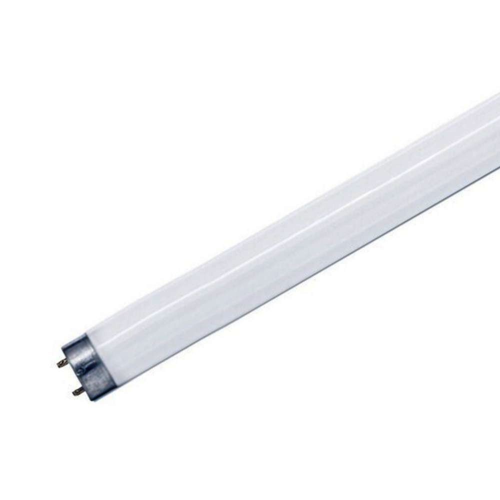 LAMPADA MATA MOSCAS T5 8W 28.6cm
