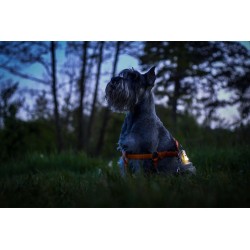 LANTERNA RECARREGAVEL 160LUMENS BRANCO QUENTE | ARMYTEK