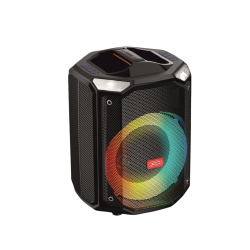 COLUNA AMPLIFICADA USB/SD/AUX/BT + 2 MICROFONES