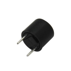 MICRO FUSIVEL LENTO 1A 250V