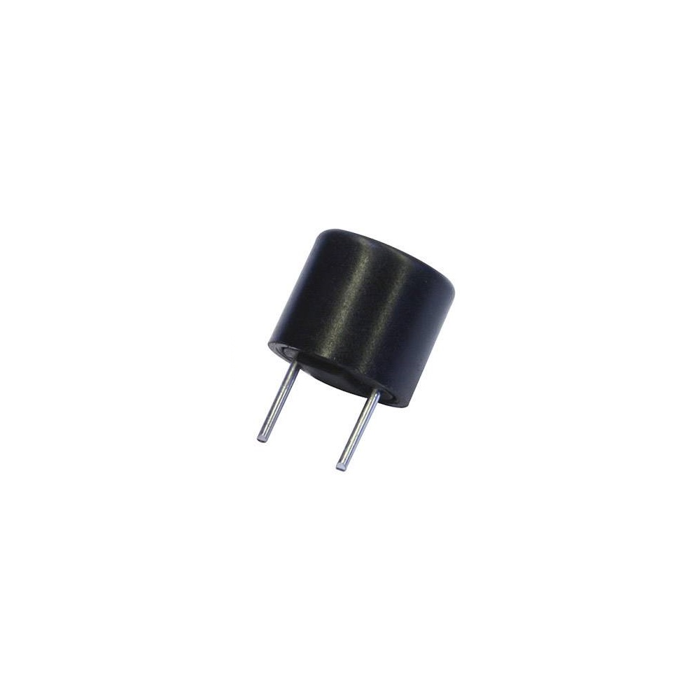 MICRO FUSIVEL LENTO 2A 250V