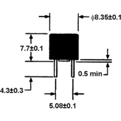 MICRO FUSIVEL LENTO 2A 250V