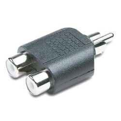 ADAPT.1RCA M./2RCA F.