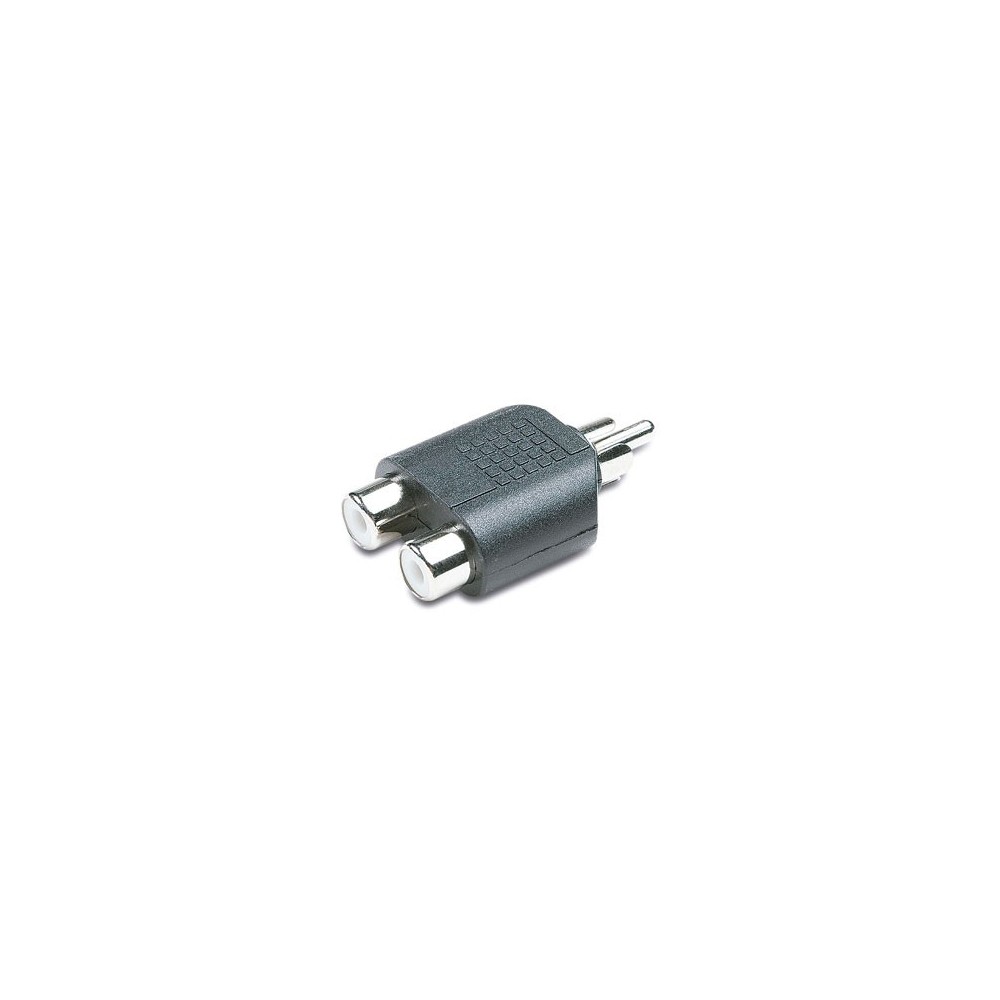 ADAPT.1RCA M./2RCA F. ADAPT.1RCA M./2RCA F.