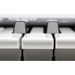 ALESIS Q25 TECLADO CONTROLADOR 25TECLAS USB MIDI