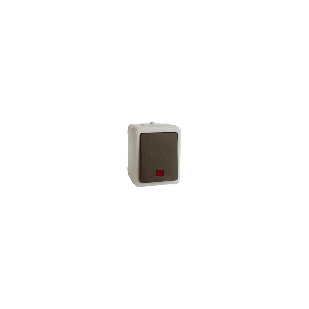 PULSADOR LUMINOSO 250V 10A. PULSADOR LUMINOSO 250V 10A.