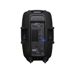 COLUNA PALCO 15" ATIVA 2 VIAS MARK