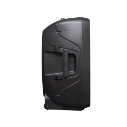 COLUNA PALCO 15" ATIVA 2 VIAS MARK