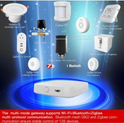 HUB MULTIMODO USB BT MESH ZIGBEE