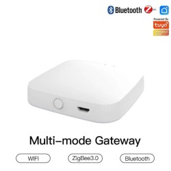 HUB MULTIMODO USB BT MESH ZIGBEE