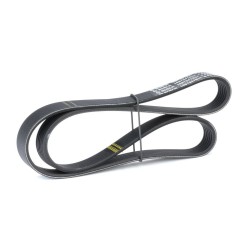 Correia Estriada 1252 J5 EL   1252J5  ELASTICA