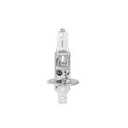 Lâmpada halogénio H1 12V 55W