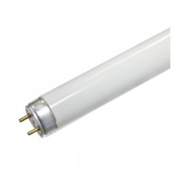 Lâmpada UV T8 15W 43,5 cm para Mata-Insetos EDM