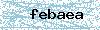 Código de segurança
