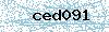 Código de segurança