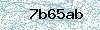 Código de segurança