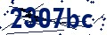 Código de segurança
