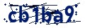 Código de segurança