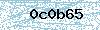 Código de segurança